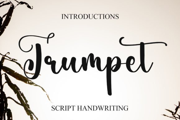 Trumpet Font: A Stylish Script for Building a Polished Brand Identity